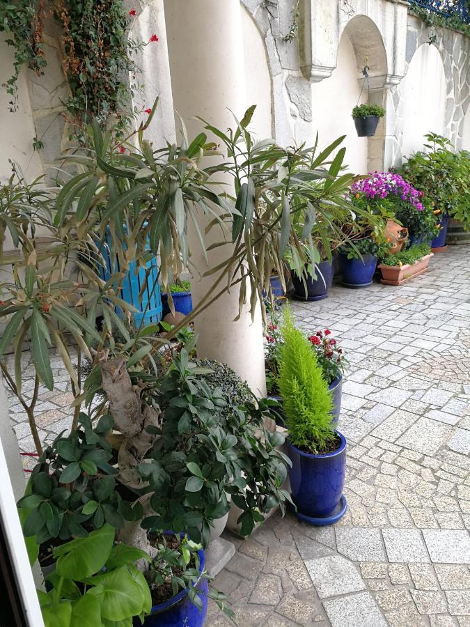 Le Studio Chez Marile Bry-sur-Marne Dış mekan fotoğraf